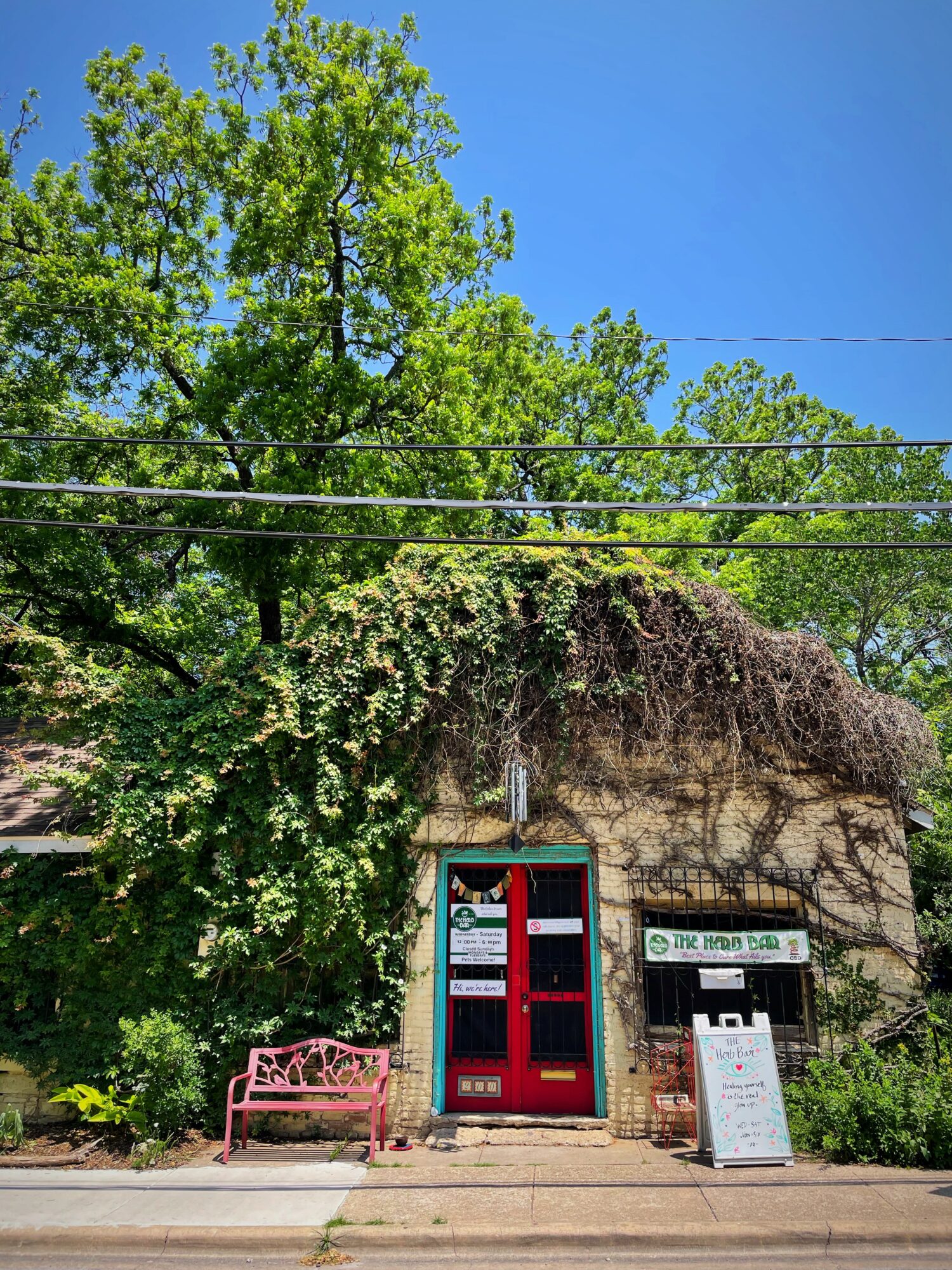 Rising Stars Meet Megen Mundy Voyage Austin