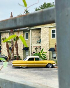 Daily Inspiration: Meet Heidi Van Horne - Voyage Austin