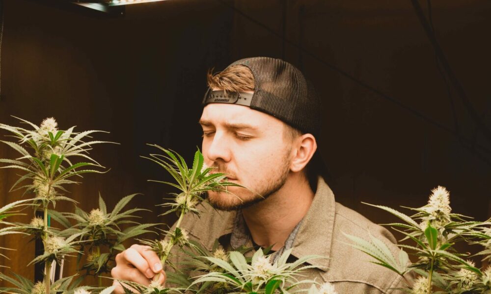 Conversations with Colton Luther - Voyage Austin