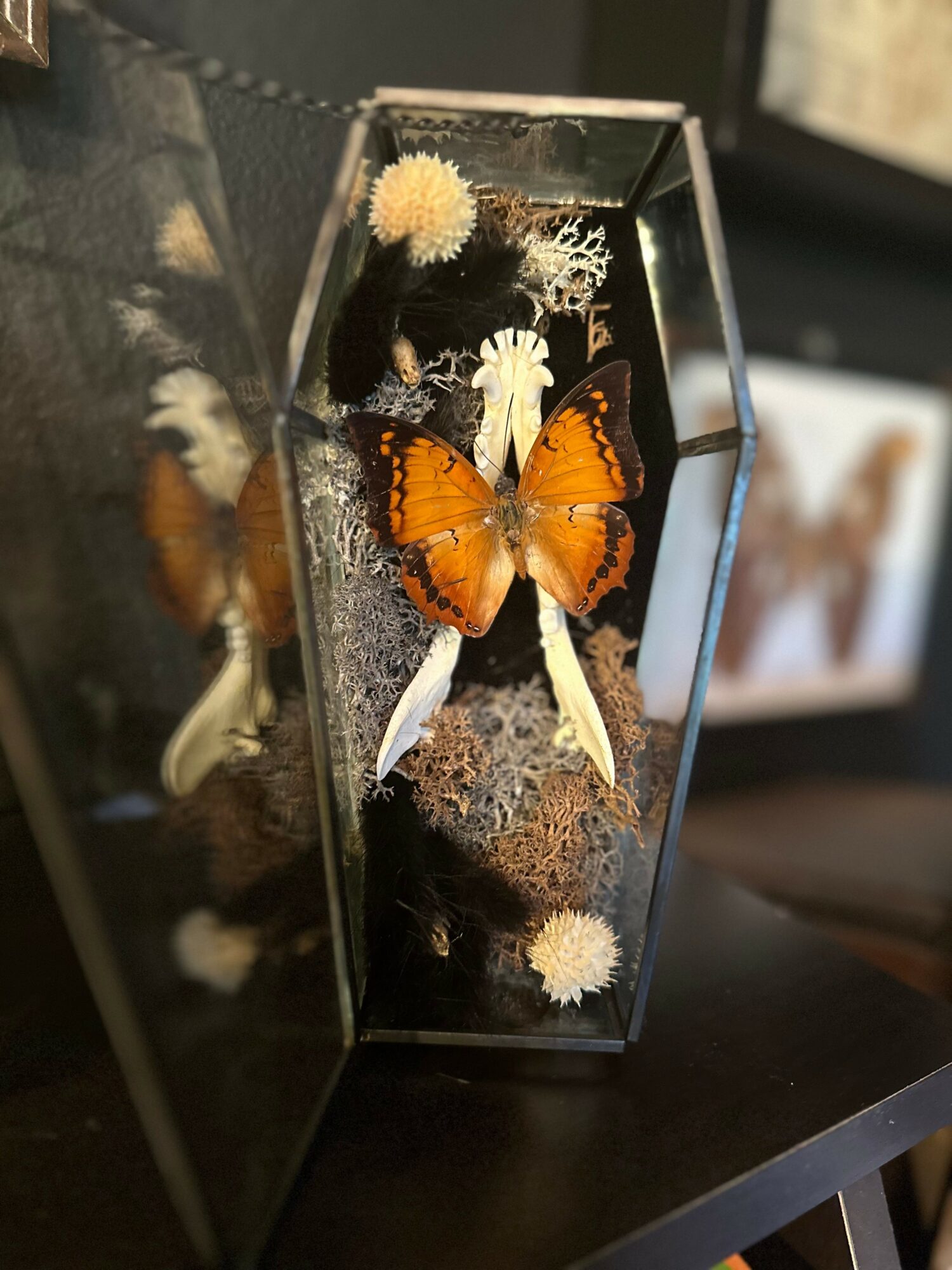 Rising Stars: Meet Steven And Julie Reeves of Round Rock - Voyage Austin