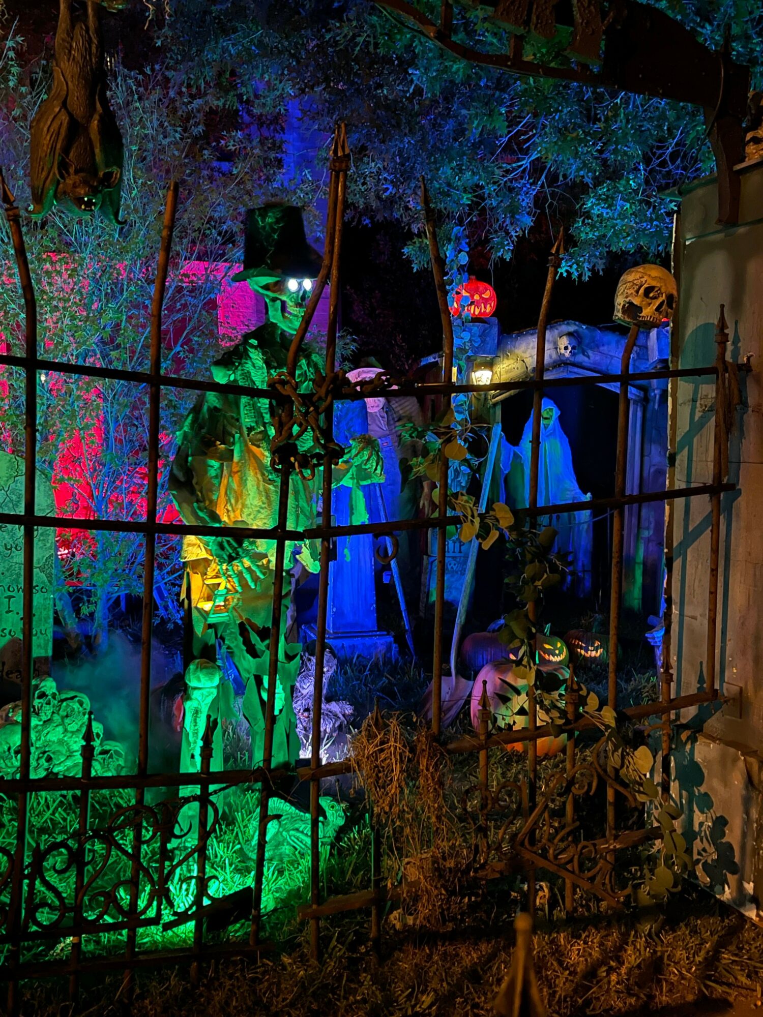 Rising Stars: Meet Steven And Julie Reeves of Round Rock - Voyage Austin