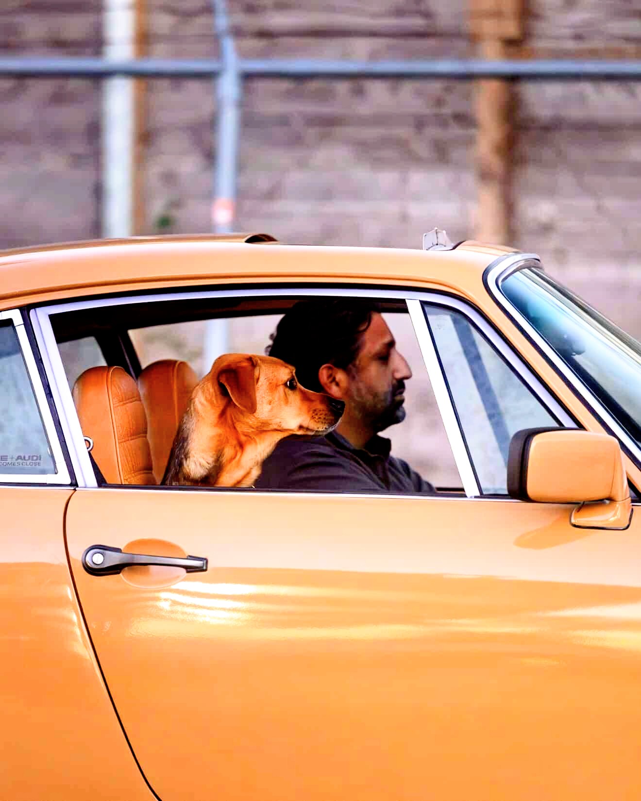 Man driving a yellow car with a dog resting its head on his shoulder, visible through the window.