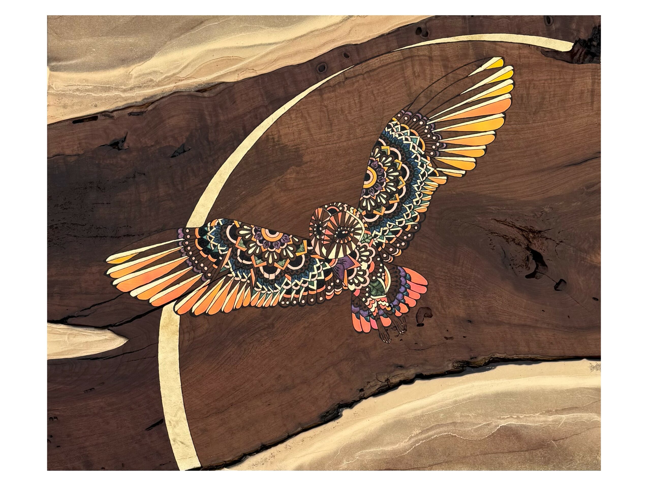 Colorful bird with outstretched wings flying over a wooden background, with a curved white line. Word count: 20.