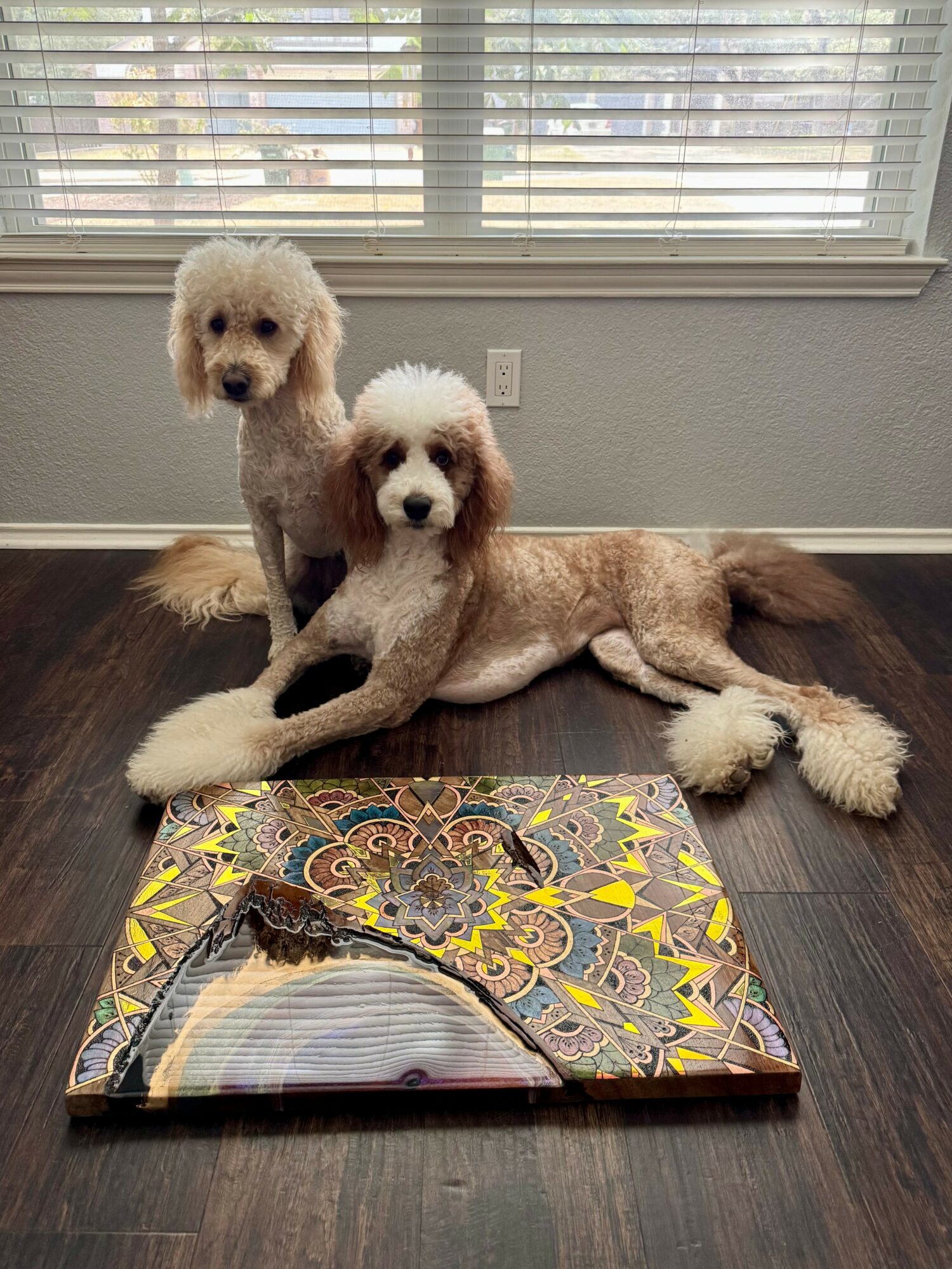 Two dogs, one lying down and one sitting, in front of a window with blinds, with an open colorful book on the floor.