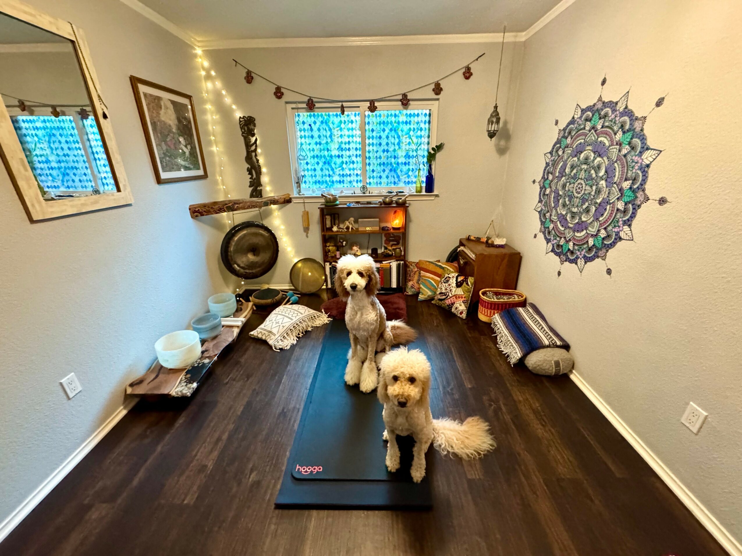 Two dogs sit on a yoga mat in a cozy room with wall decorations, a window with blue curtains, and various objects on shelves.