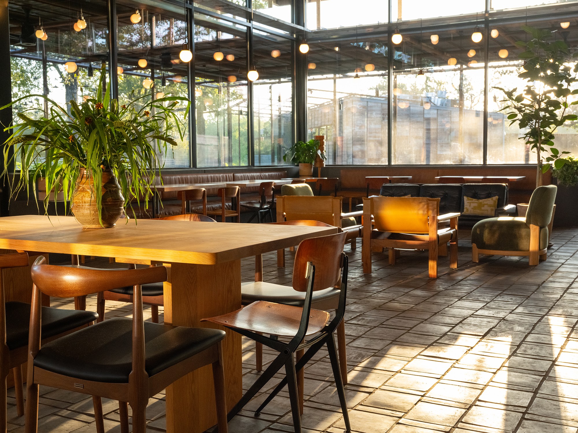 Sunlit indoor space with wooden tables, chairs, potted plants, and large windows, creating a cozy atmosphere.