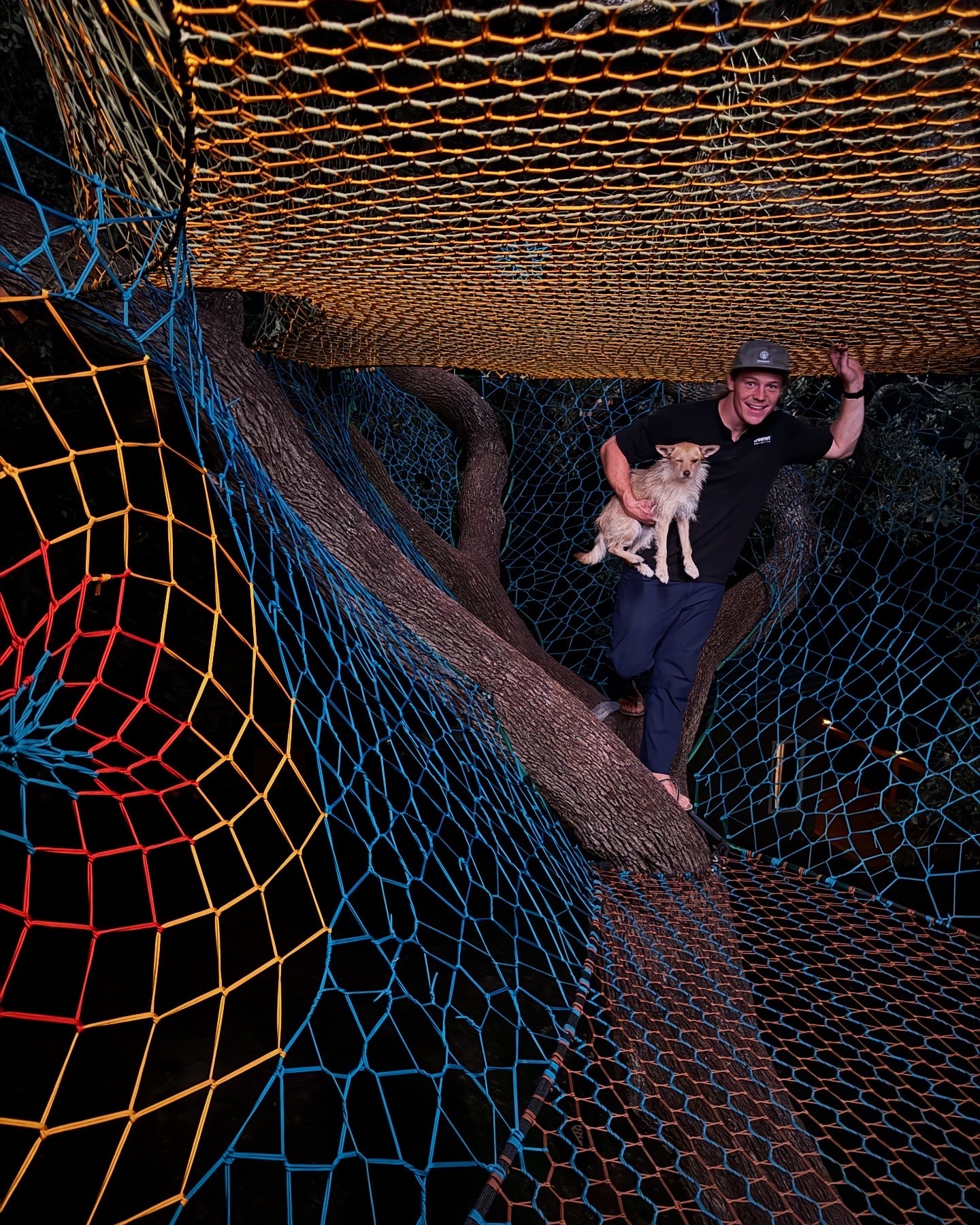 Person holding a dog on a tree branch among colorful netting structures at night.