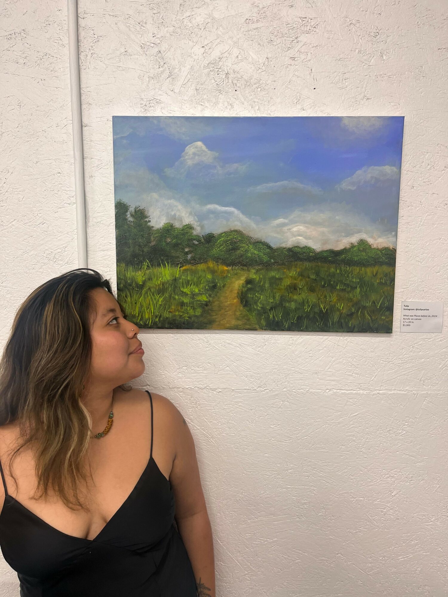 Landscape painting of mountains, trees, and sky, hanging on a white wall, with a woman in black top looking at it.
