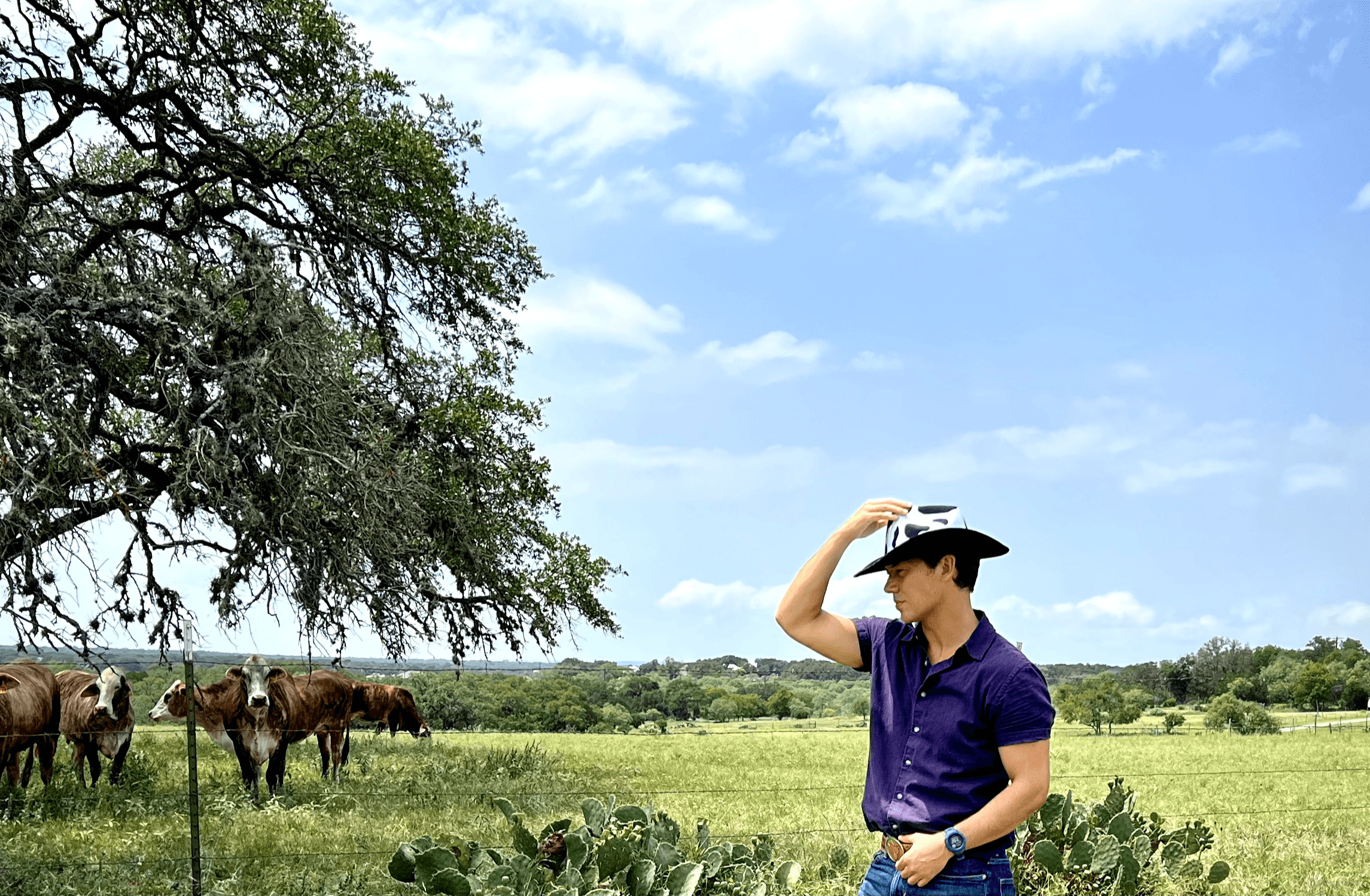 Person wearing a hat and sunglasses standing in a grassy field with trees and horses, under a partly cloudy sky.