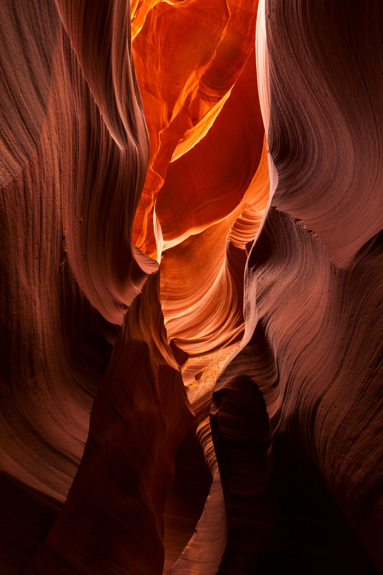 Narrow canyon with smooth, layered rock walls in warm orange and brown tones, illuminated from above.