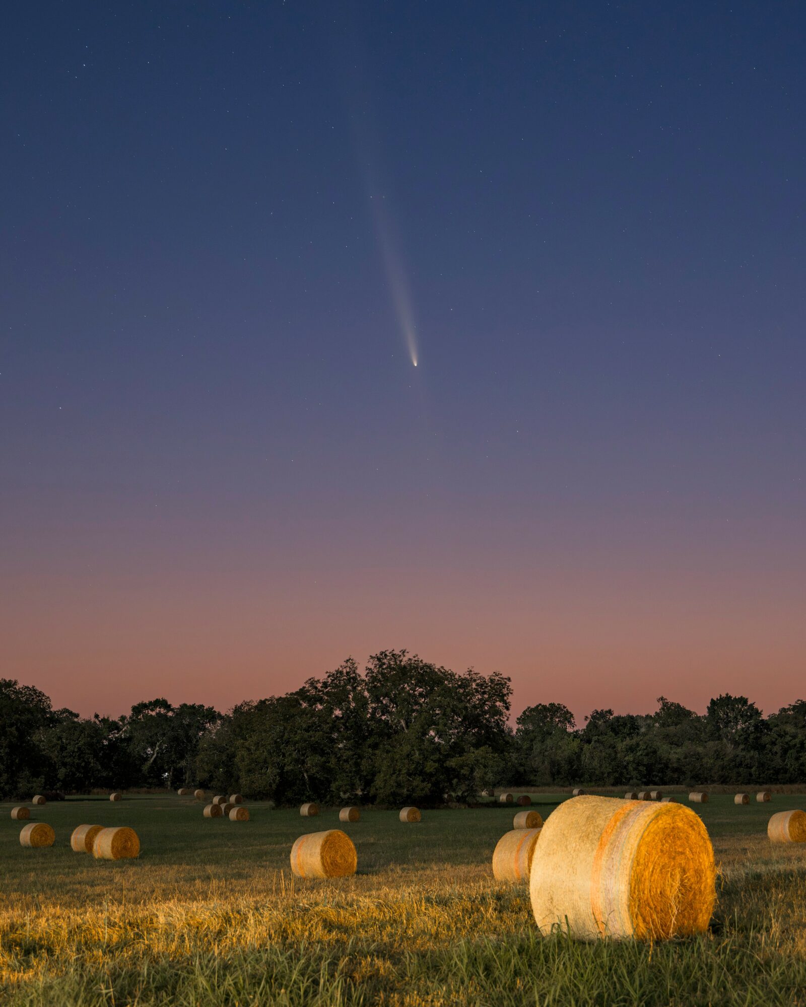 Night sky with a comet and a field with hay bales, trees in the background, and a sunset glow.