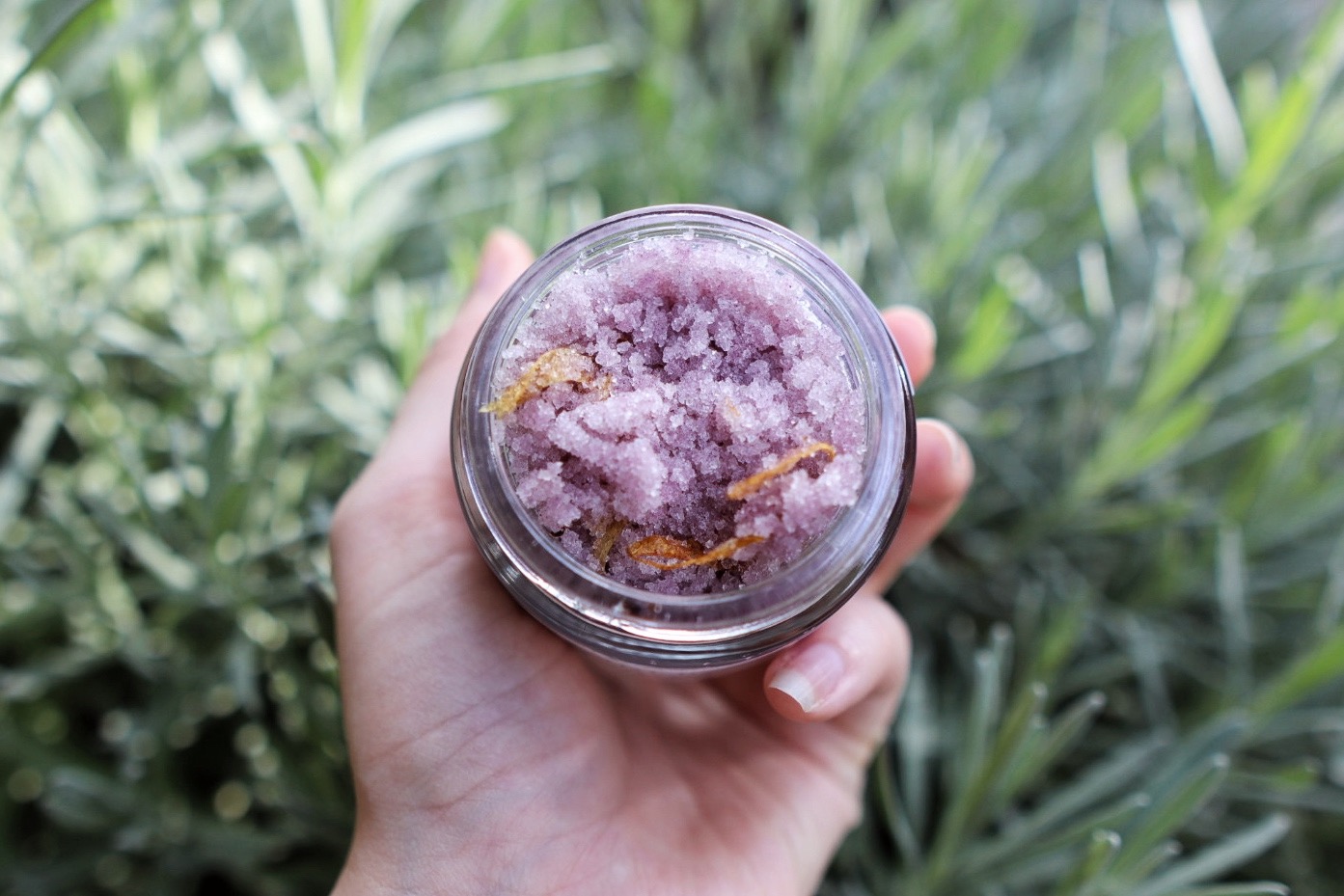 Hand holding a small container with purple and yellowish contents, outdoors with green plants in background.