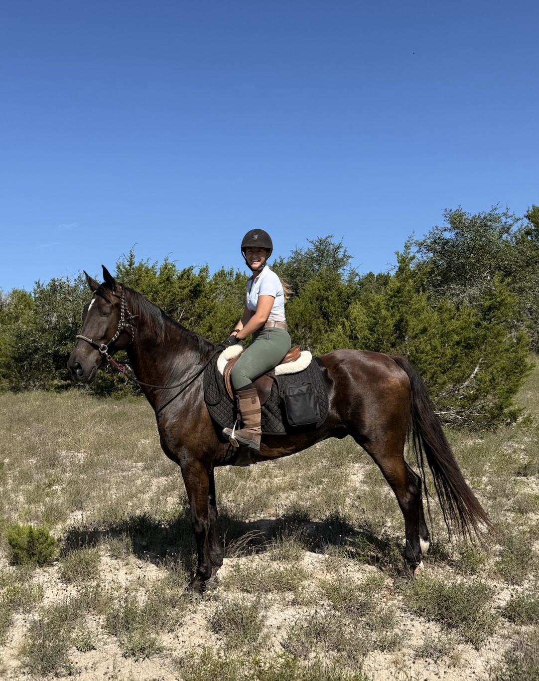 Person wearing a helmet and riding a dark brown horse in an outdoor grassy area with bushes and a clear blue sky.