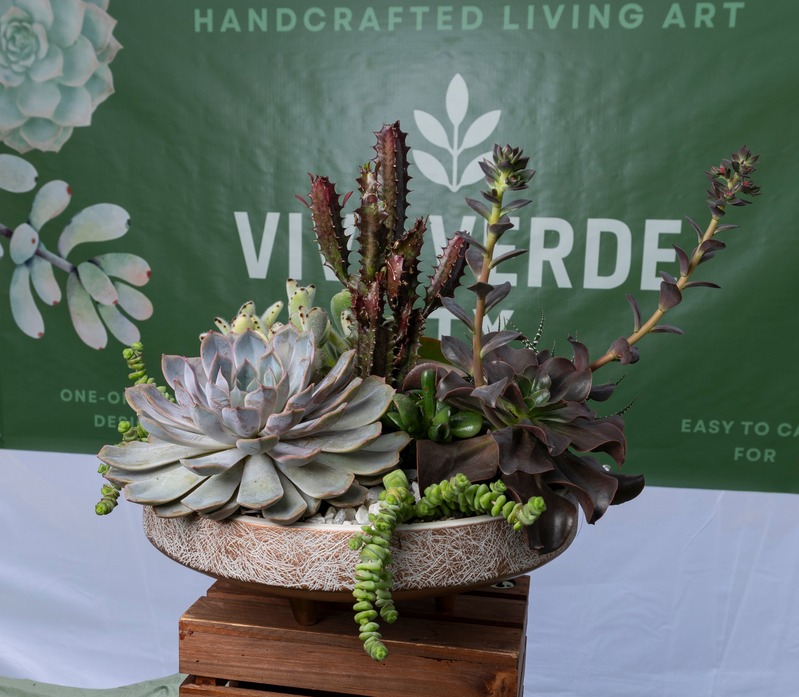 Arrangement of various succulents in a shallow stone bowl on a wooden stand, with a green background and white text.