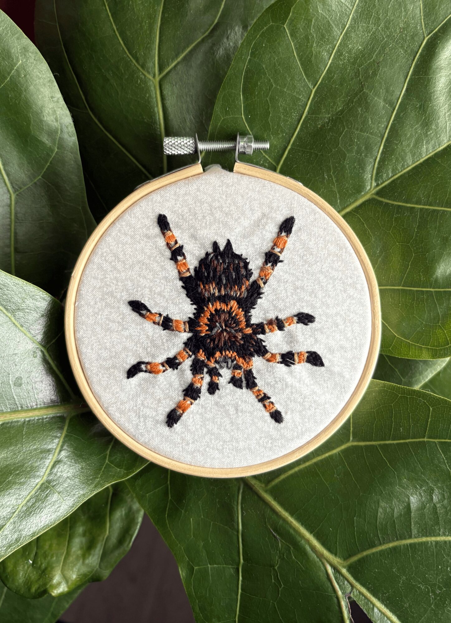 Embroidery hoop with a spider design on white fabric, surrounded by large green leaves.