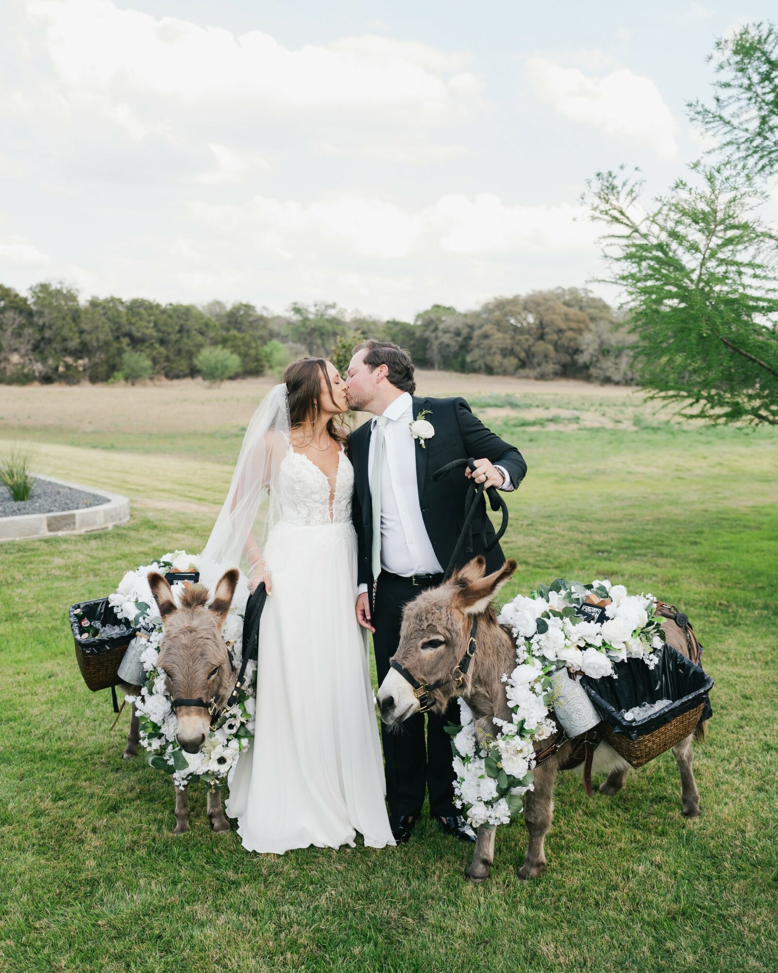 Bride and groom kissing outdoors with decorated donkey carts, trees, and open sky in background.