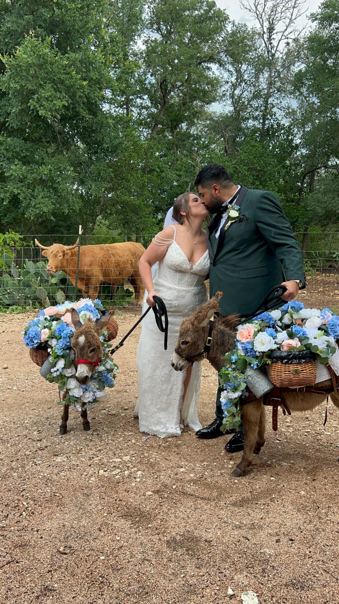 Couple kissing outdoors with decorated animals and trees in background.