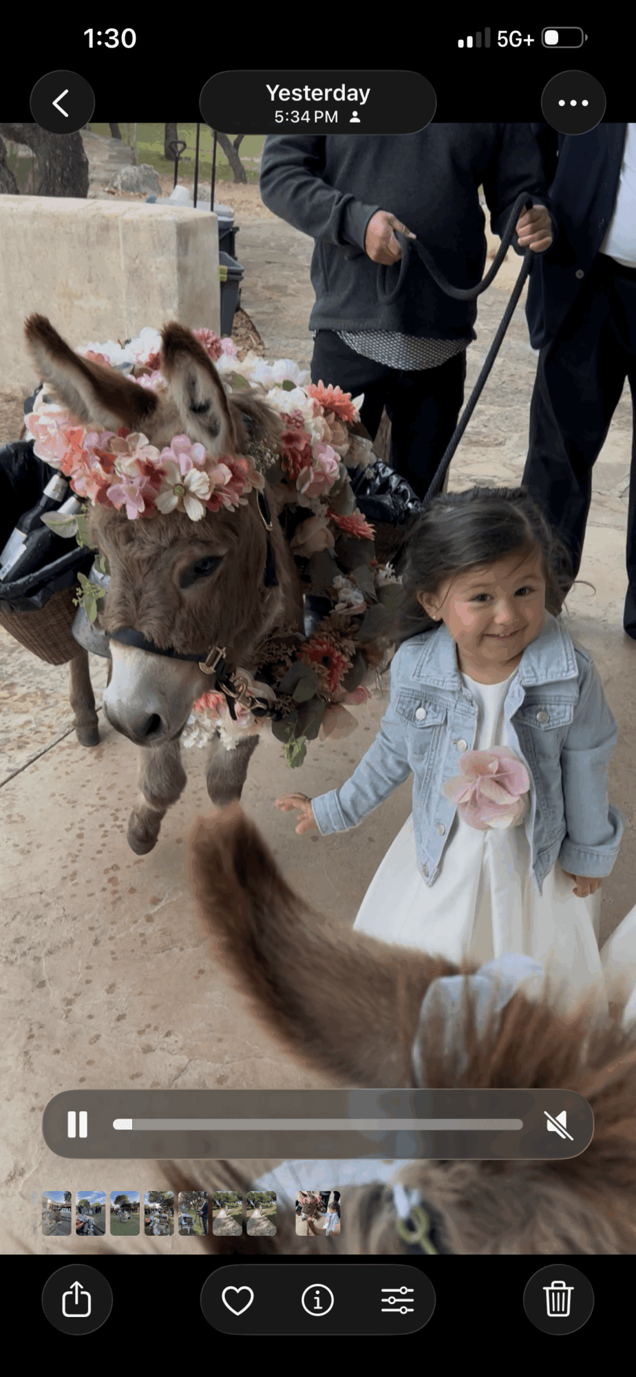 Young girl smiling and holding a leash attached to a decorated donkey with flowers, outdoors, with adults nearby.