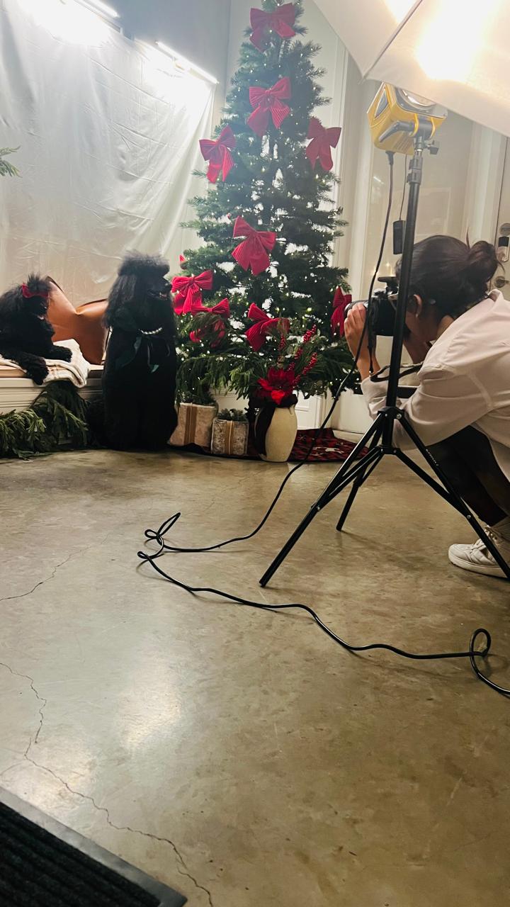 People sitting around a decorated Christmas tree with pink flowers, in a room with a lamp and camera equipment.