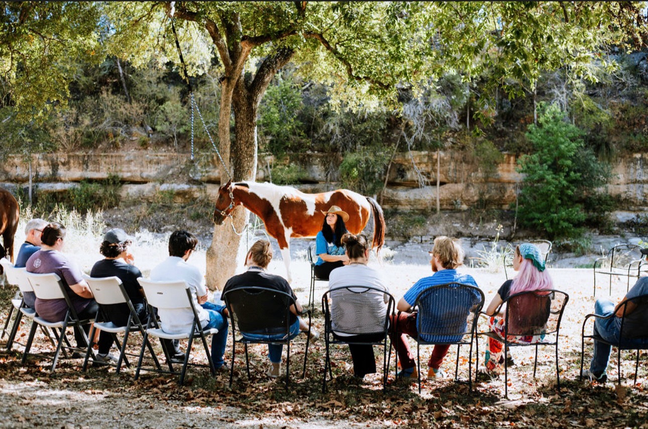 Group of people sitting on chairs outdoors watching a person with a horse near a riverbank, trees in background.