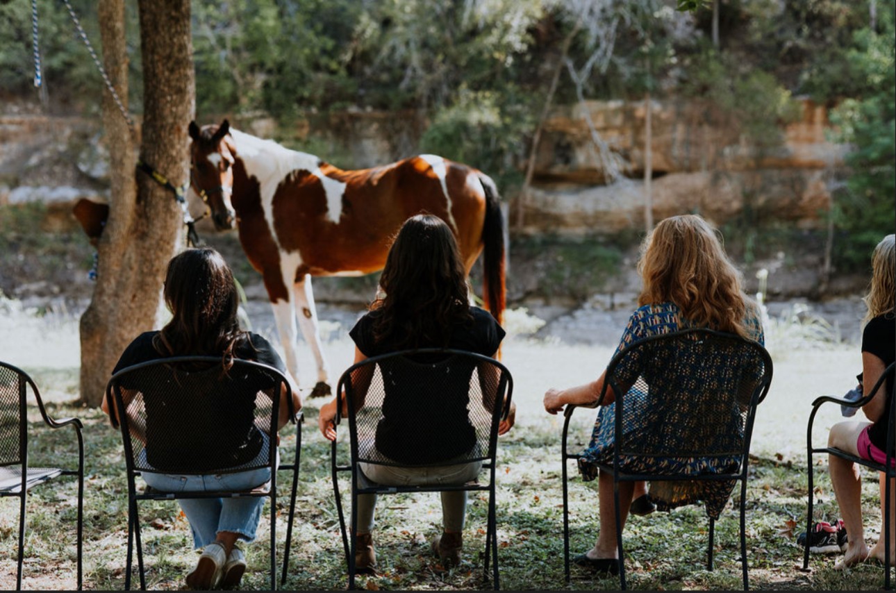 Four children sit on chairs watching a horse near a pond, with trees and rocks in the background.
