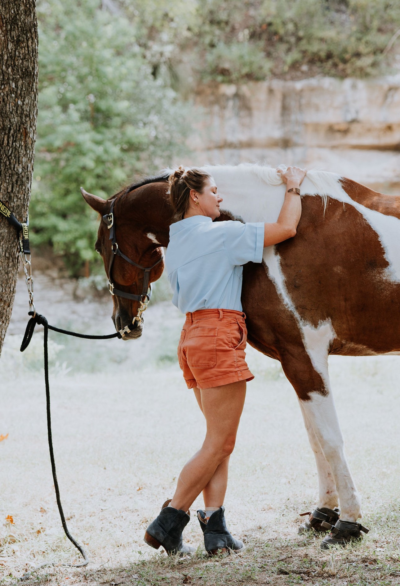 Person grooming a brown and white horse outdoors near trees and a rocky background.