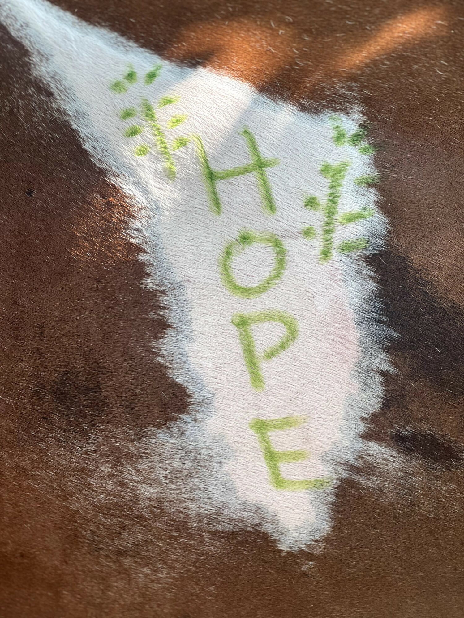 Colorful powder with the word 'HOPE' written in green, on a brown surface.