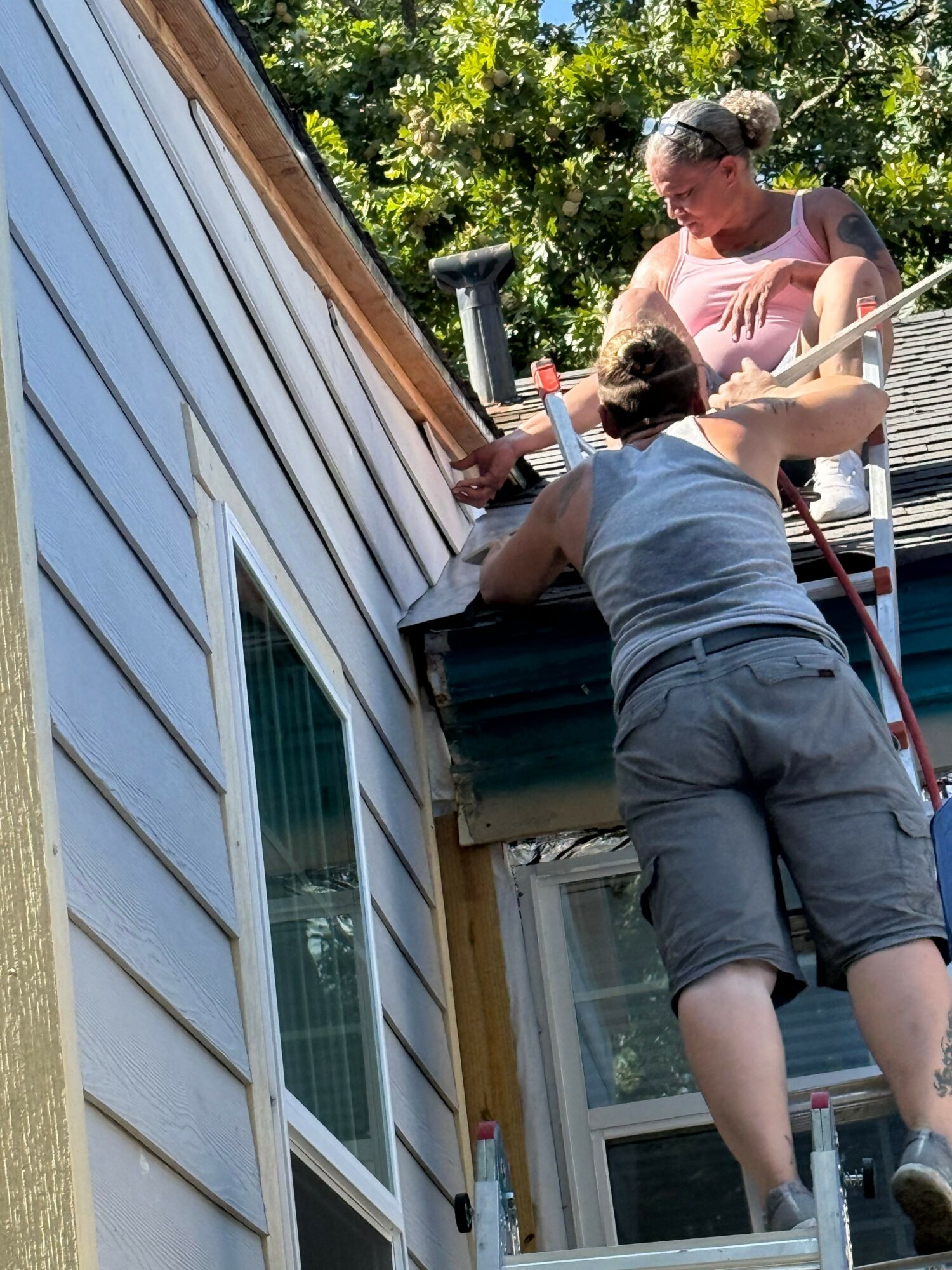 People working on a house exterior with a window, surrounded by trees and sunlight.