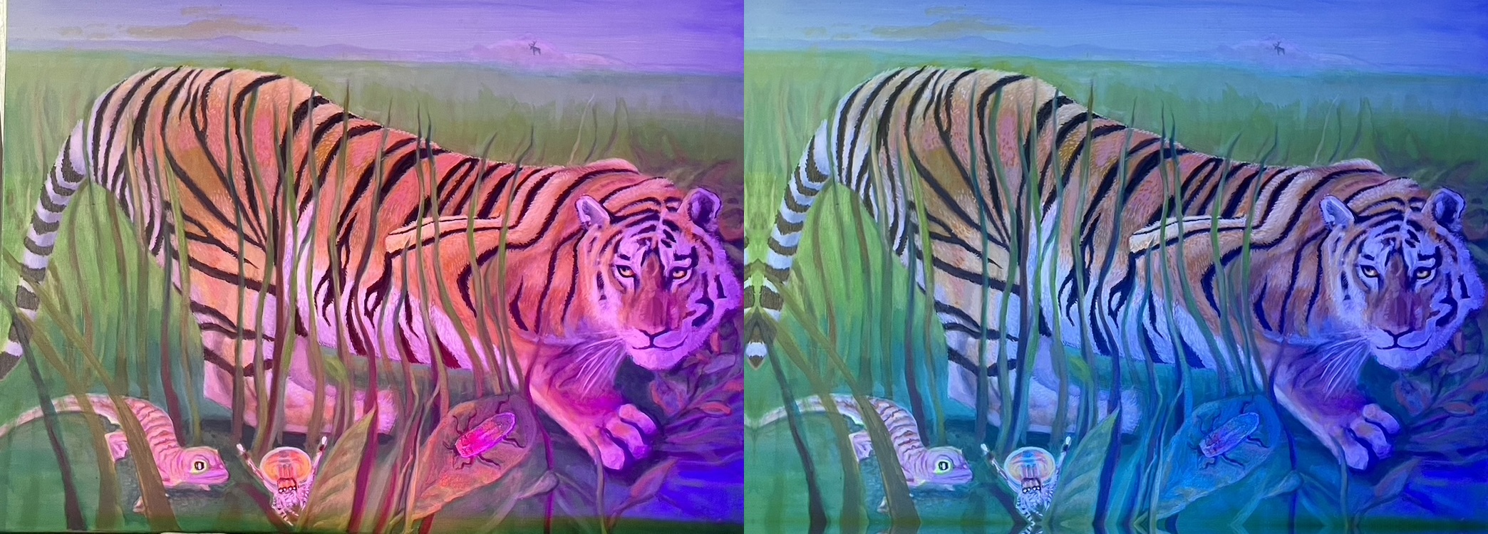 Two tigers in grass, one with pink lighting and one with blue lighting, facing forward.