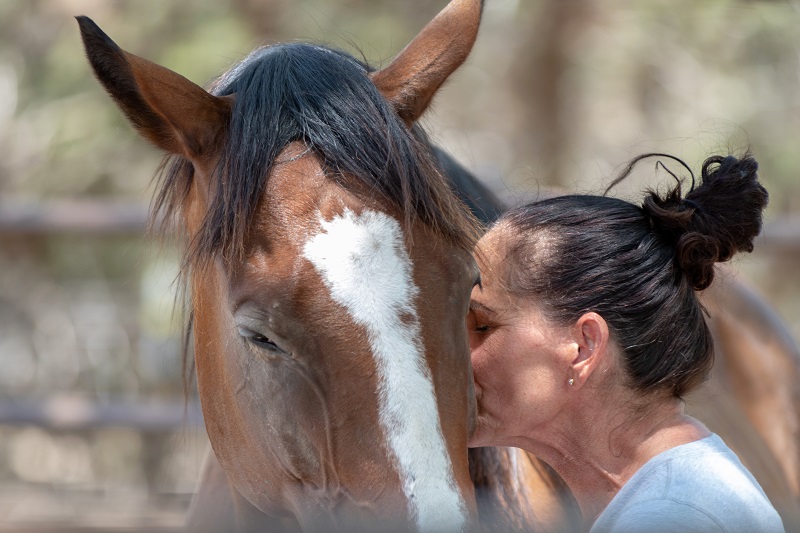 Woman kisses a horse's face outdoors, horse has a white stripe on its nose, woman has dark hair in a bun.