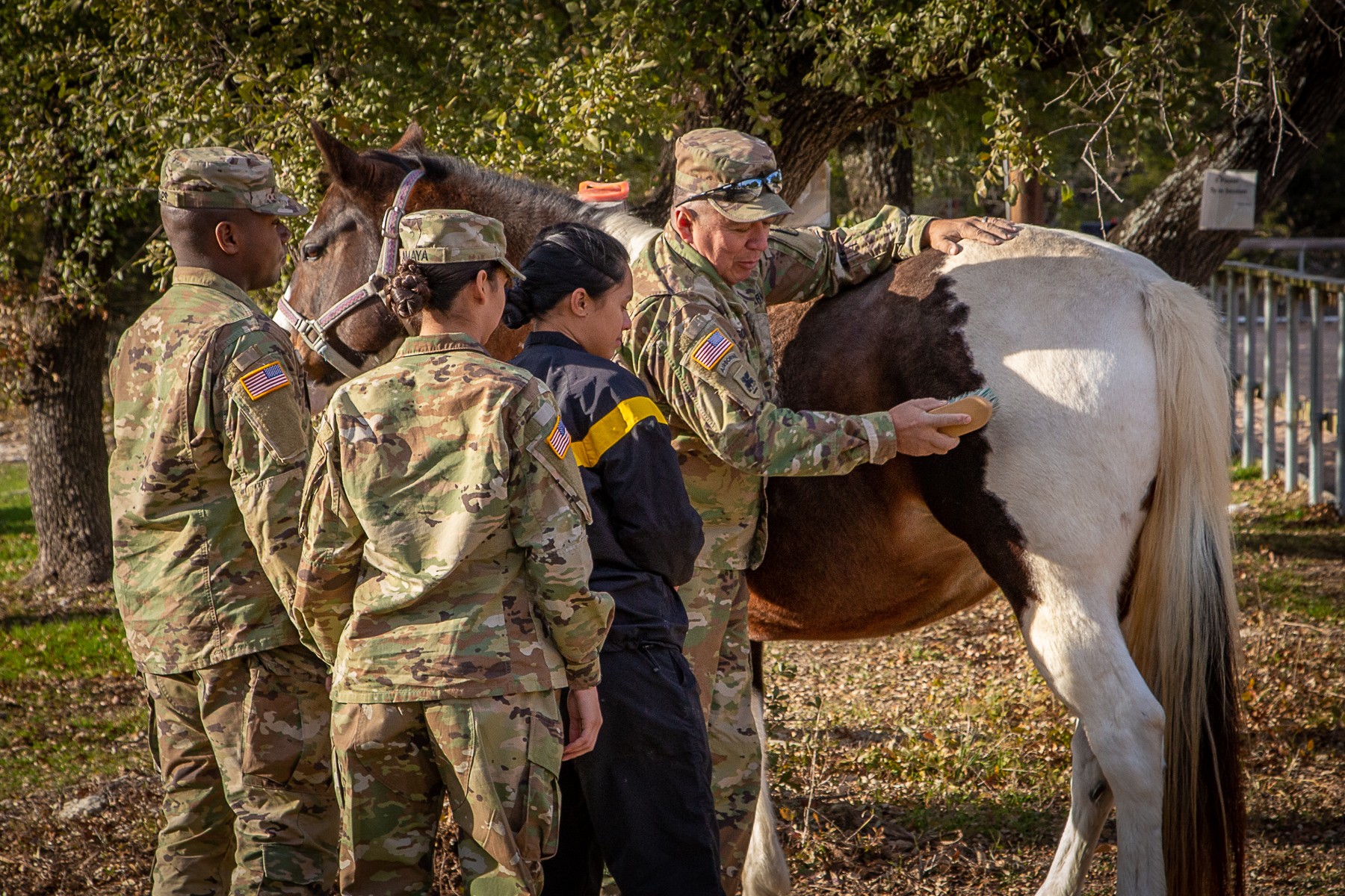 Group of soldiers and civilians with a horse outdoors, trees in background, sunlight, and a fence nearby.