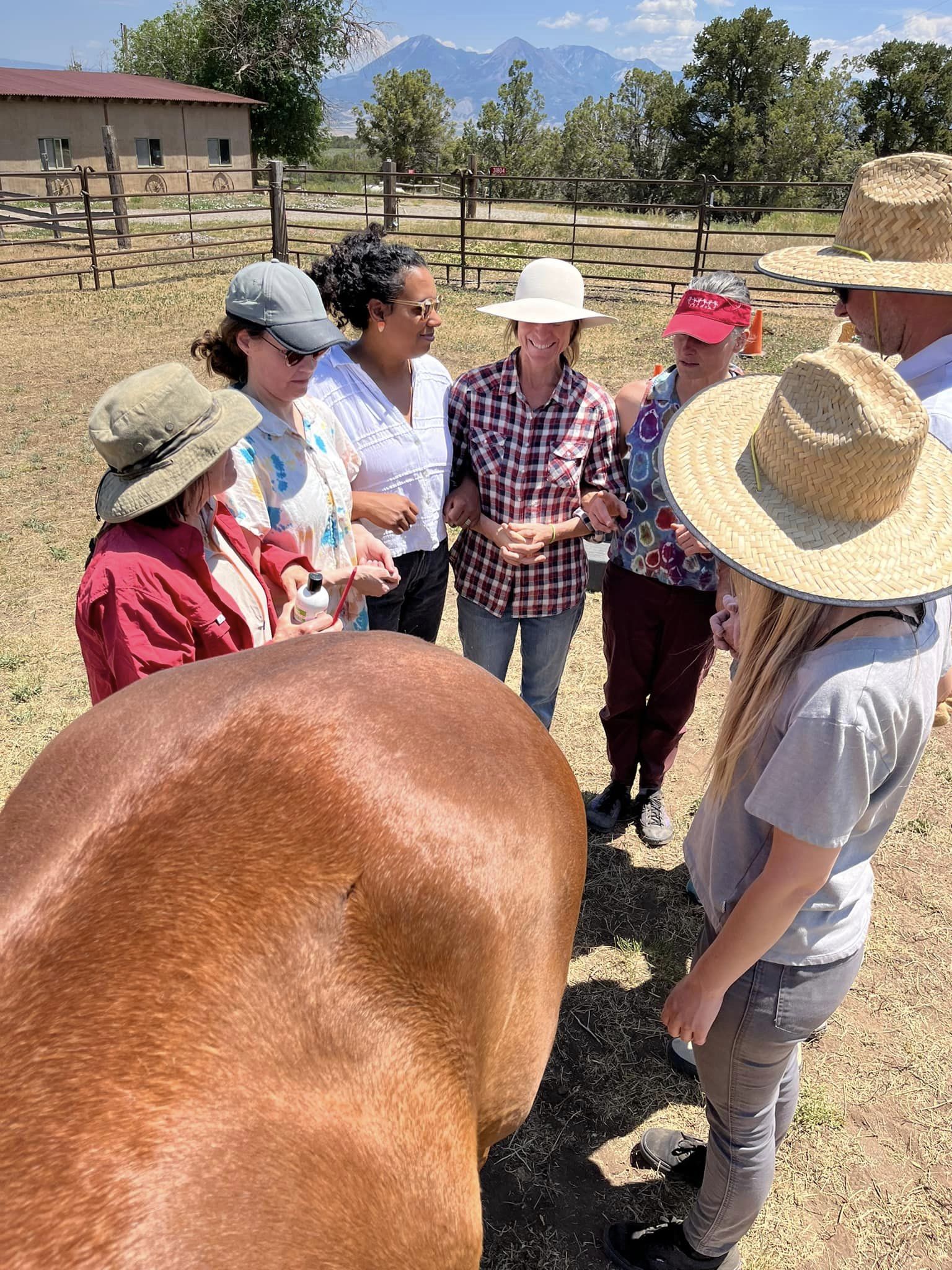 Group of people gathered outdoors around a horse, with trees, fences, and mountains in the background.