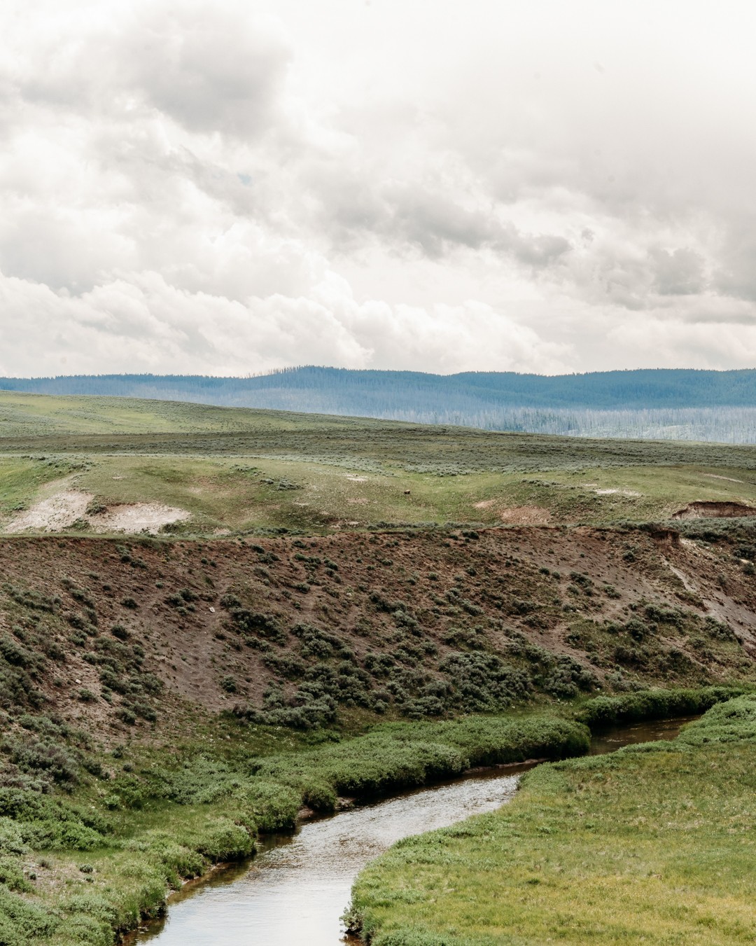 Landscape with grassy fields, a winding river, and cloudy sky, with distant hills in the background.