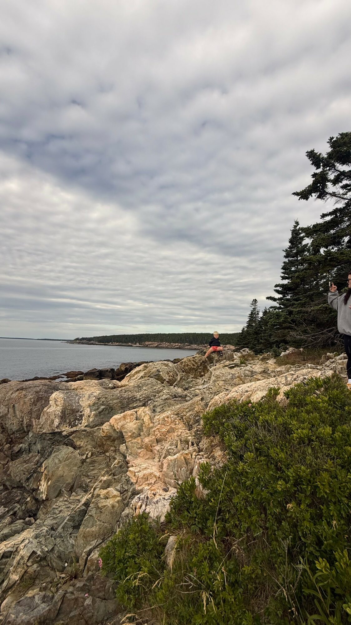 Coastal landscape with rocky shoreline, trees, and cloudy sky, with a person partially visible on the right side.