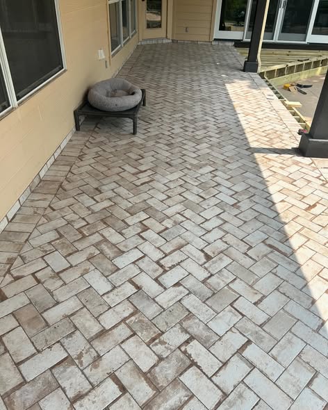 Paved outdoor patio with a pet bed near a yellow wall and large windows, sunlight casting shadows on the ground.