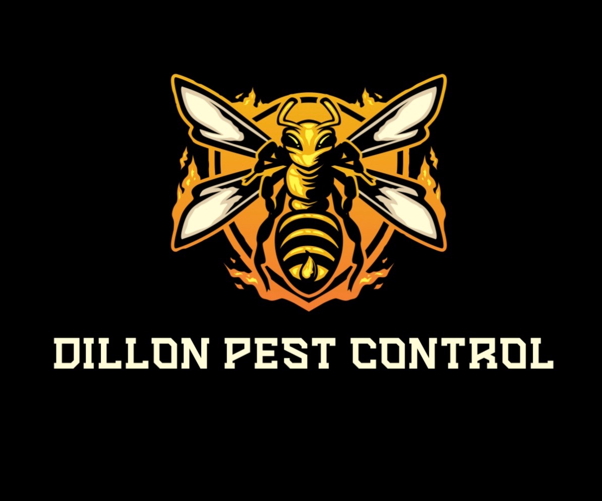 A detailed illustration of a bee with wings spread, above the text 'DILLON PEST CONTROL', on a black background.