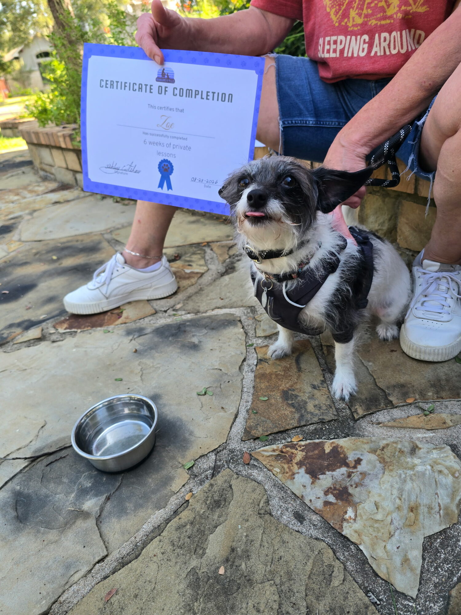 Person holding a certificate of completion and a small dog on a leash outdoors on stone ground, with a metal bowl nearby.