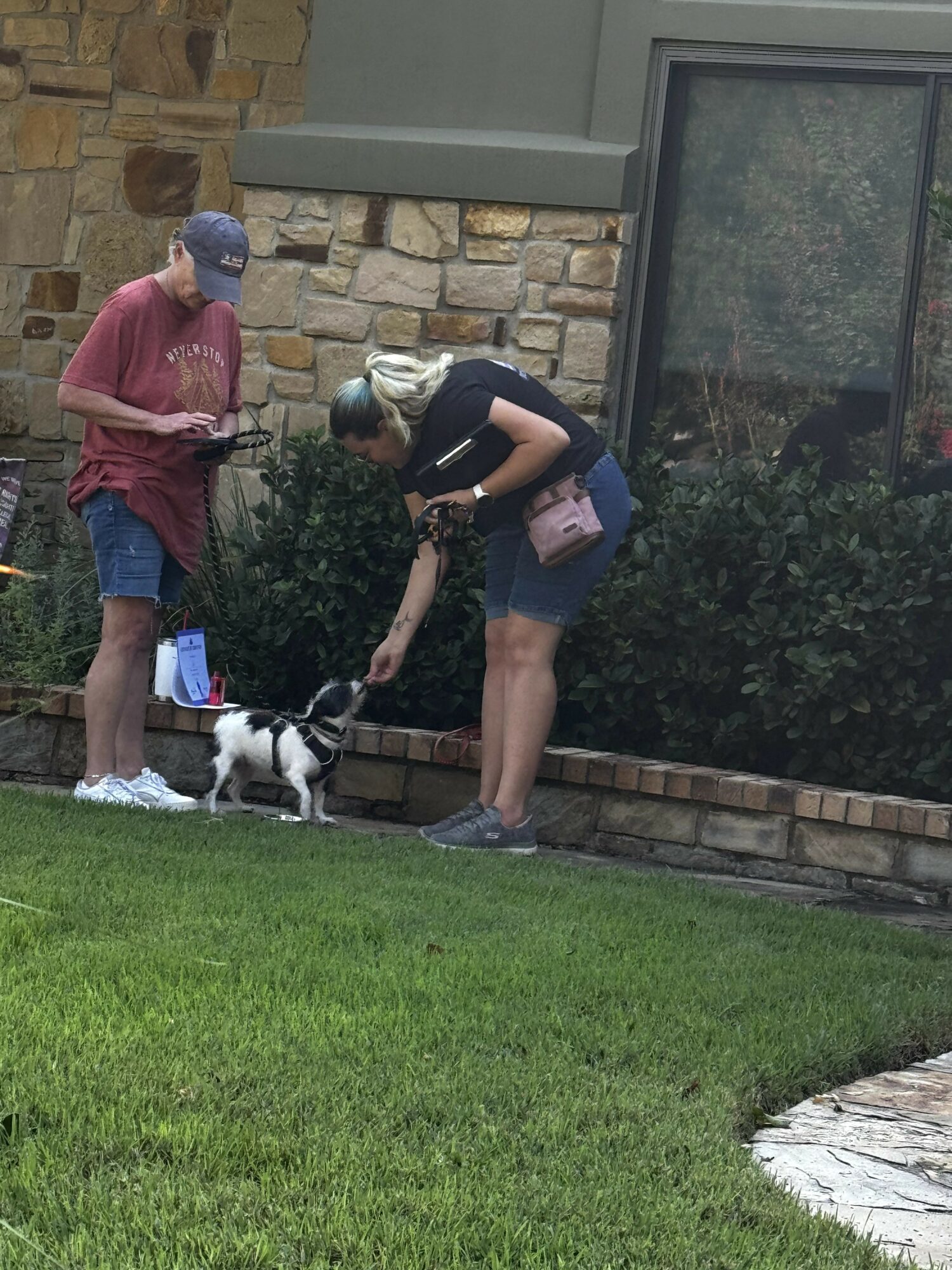 Two women and a dog in a garden near a stone wall and window, with grass and bushes, during daytime.
