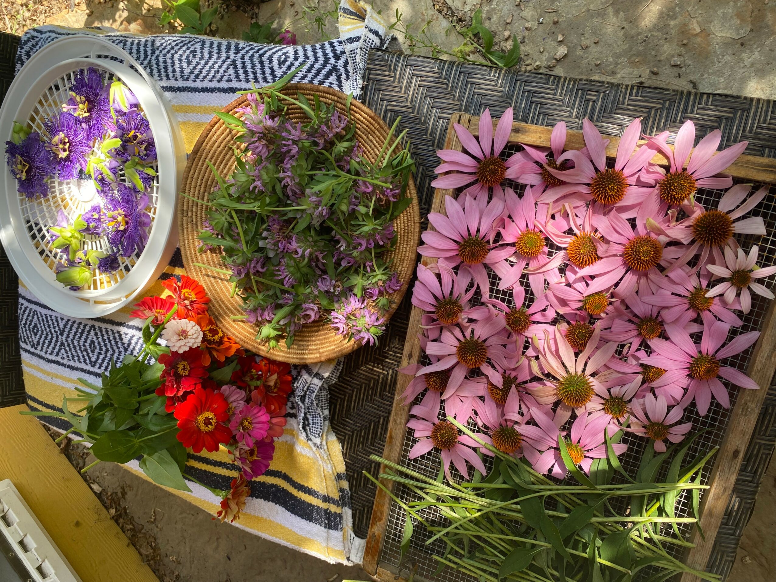 Various colorful flowers arranged on a table, including purple, red, and pink blooms, with a basket and a tray.